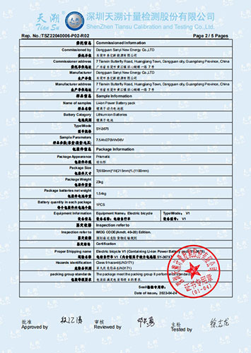 E-bike Shipping Report