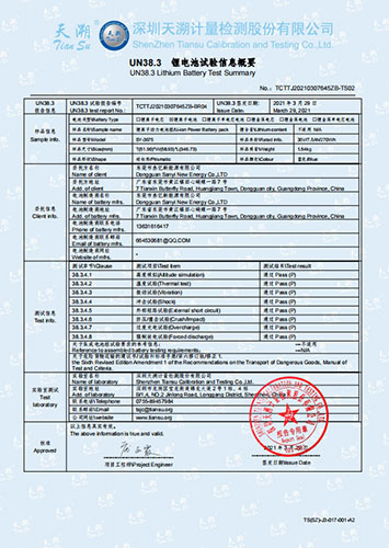 Lithium battery UN38.3